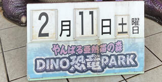 DINO恐竜PARK やんばる亜熱帯の森のクチコミ写真1