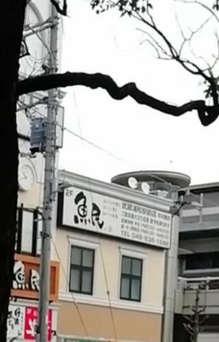 魚民 武蔵浦和駅前店のクチコミ写真1