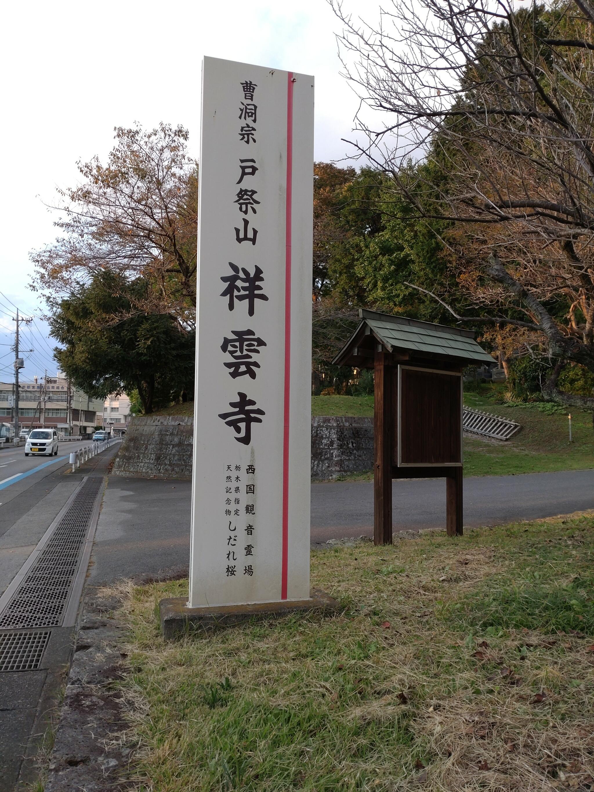 祥雲寺のしだれ桜の代表写真2