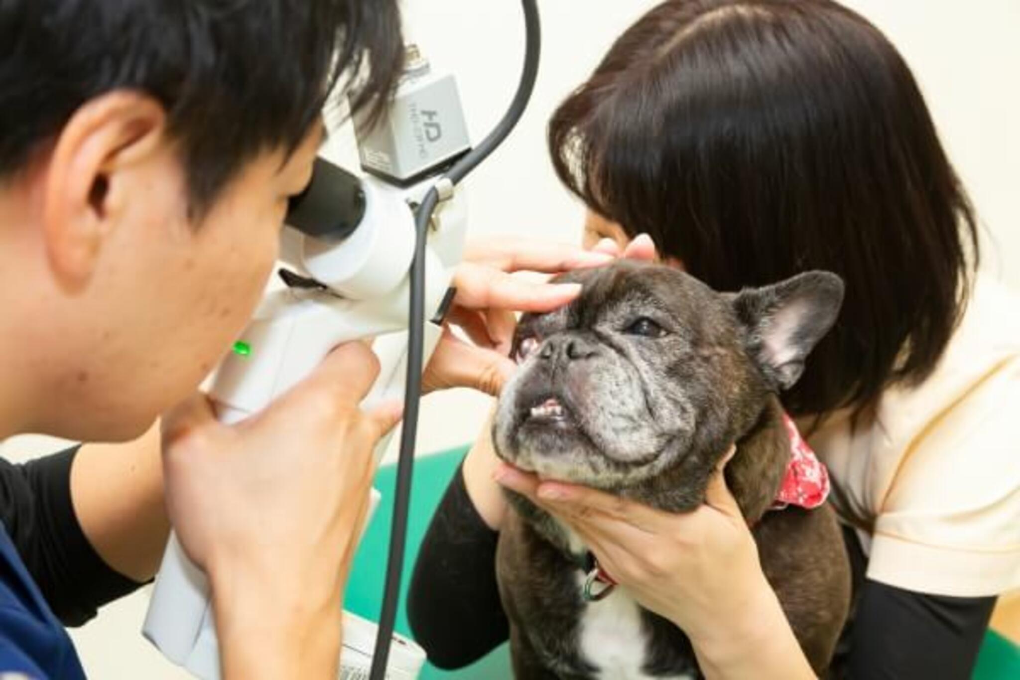 MIRU動物病院の代表写真2