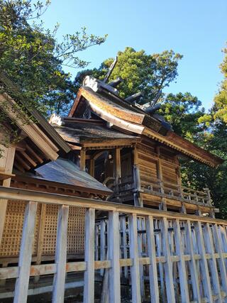 須佐神社のクチコミ写真1
