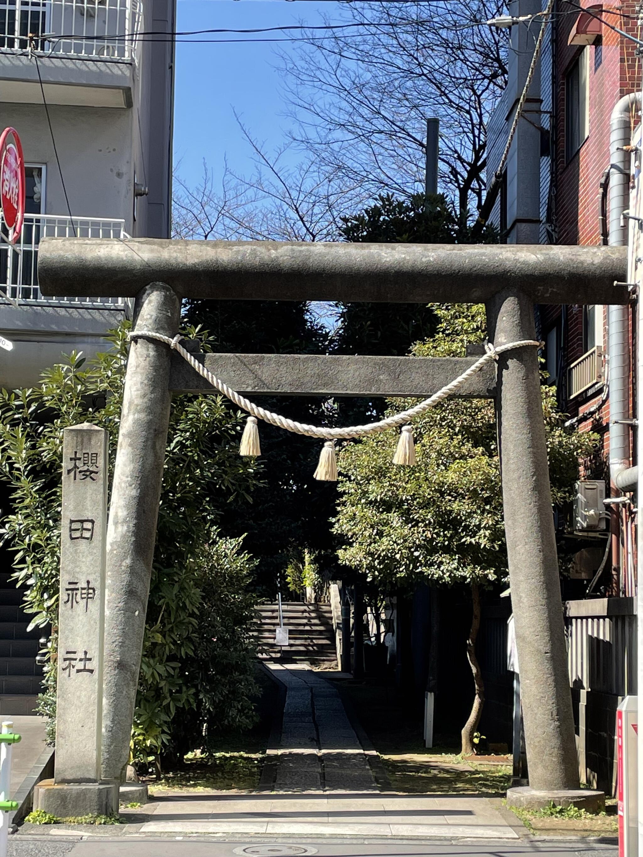 櫻田神社の代表写真4