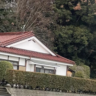高千穂神社の写真3