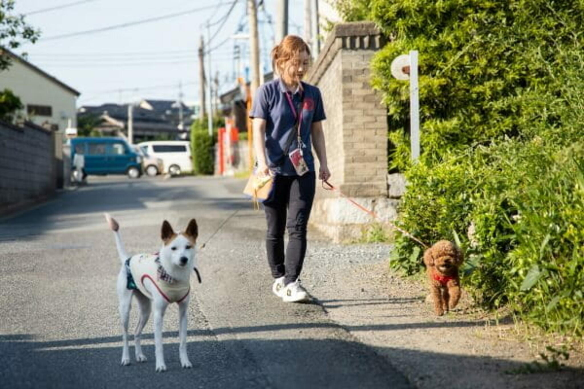 Marie's Dog Cafe(ホテル)の代表写真2