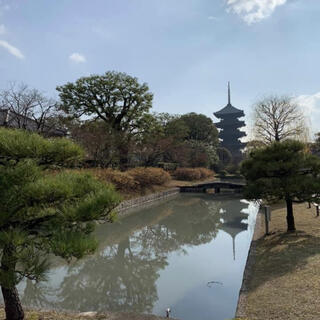 東寺の写真9