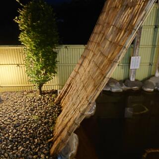 白水温泉 竹の倉山荘の写真30