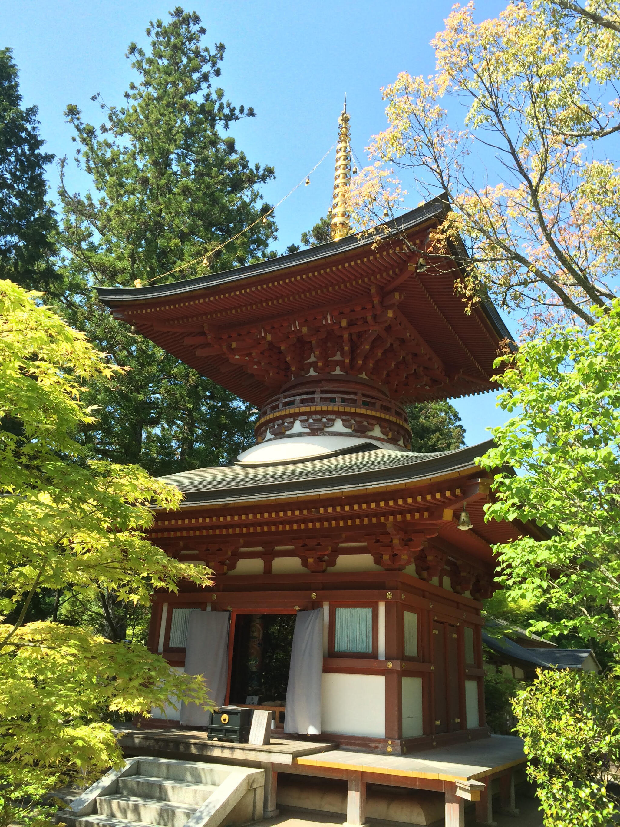 円成寺の代表写真8