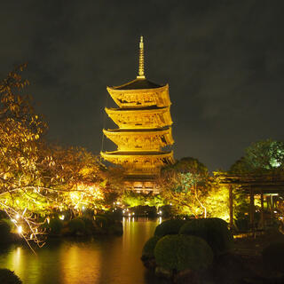 東寺の写真4