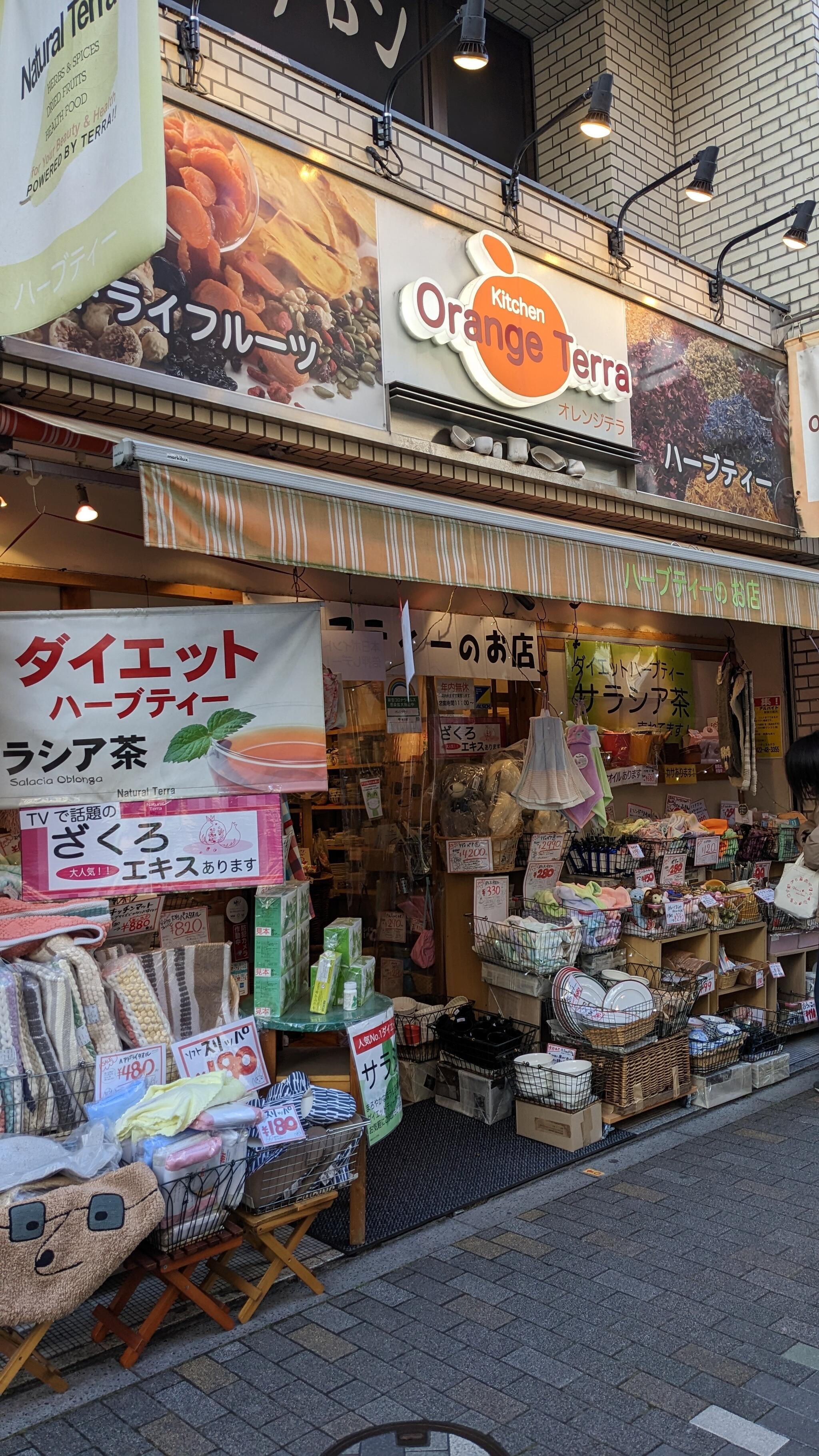 オレンジ 人気 テラ 食器