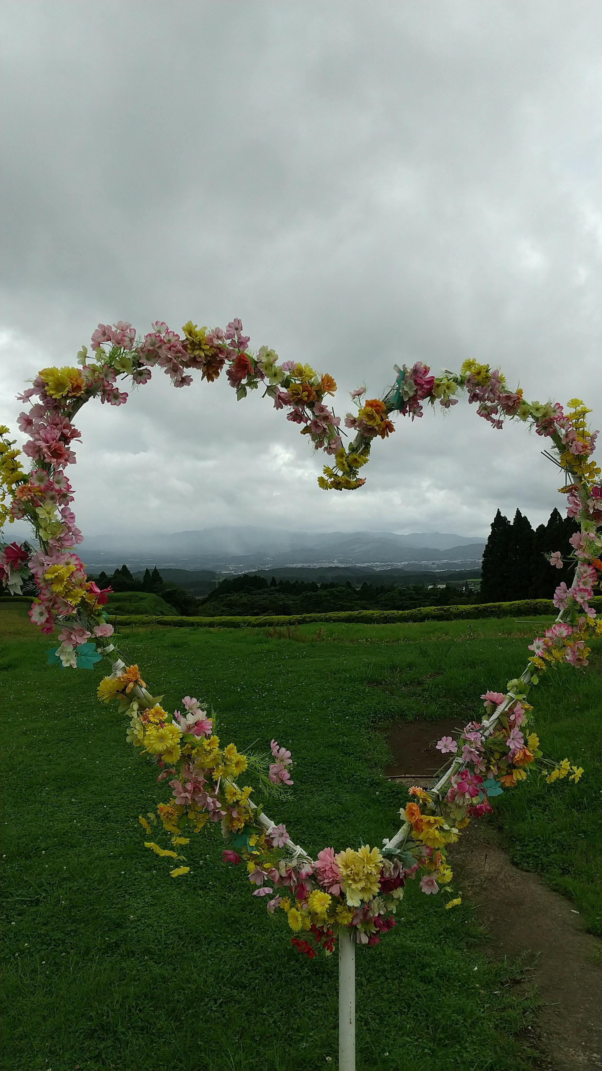 生駒高原の代表写真2