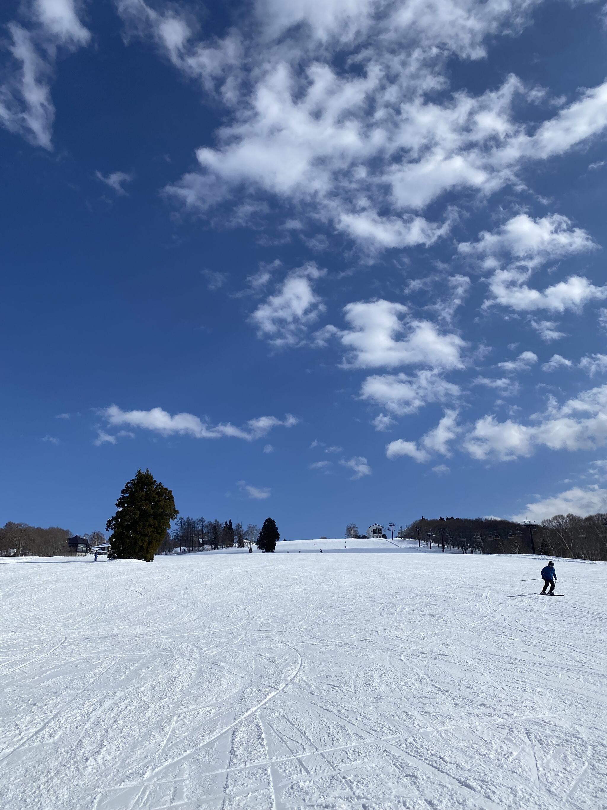 池の平温泉アルペンブリックスキー場の代表写真6