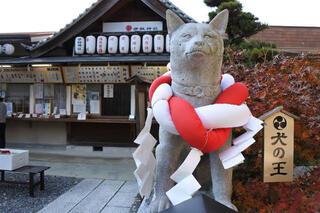 伊奴神社のクチコミ写真1