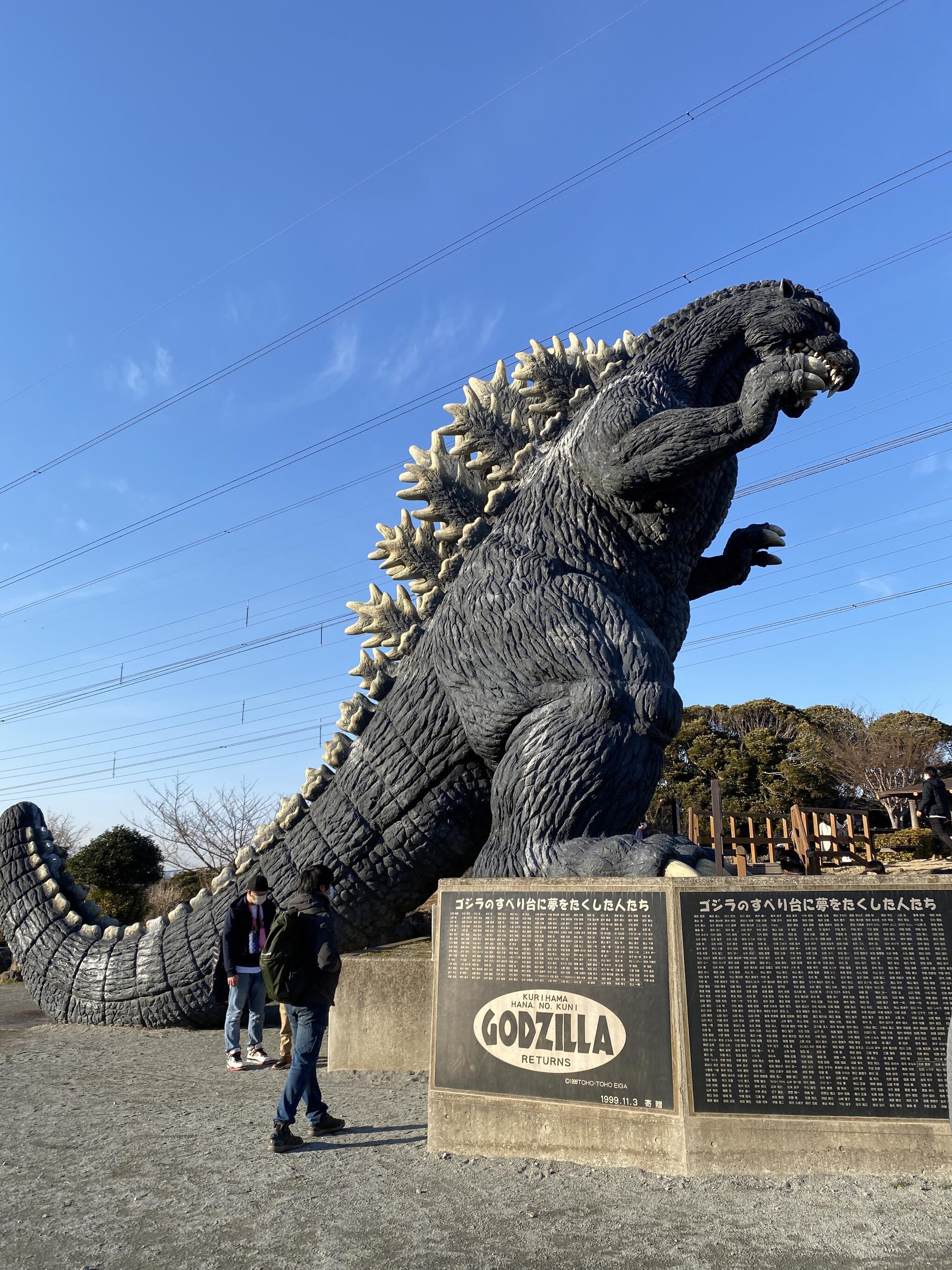 横須賀市 くりはま花の国の代表写真10