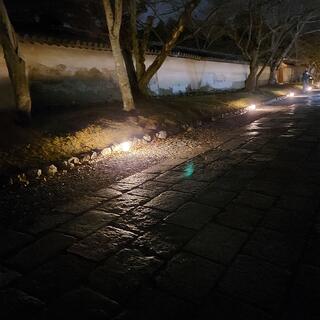 醍醐寺のクチコミ写真2