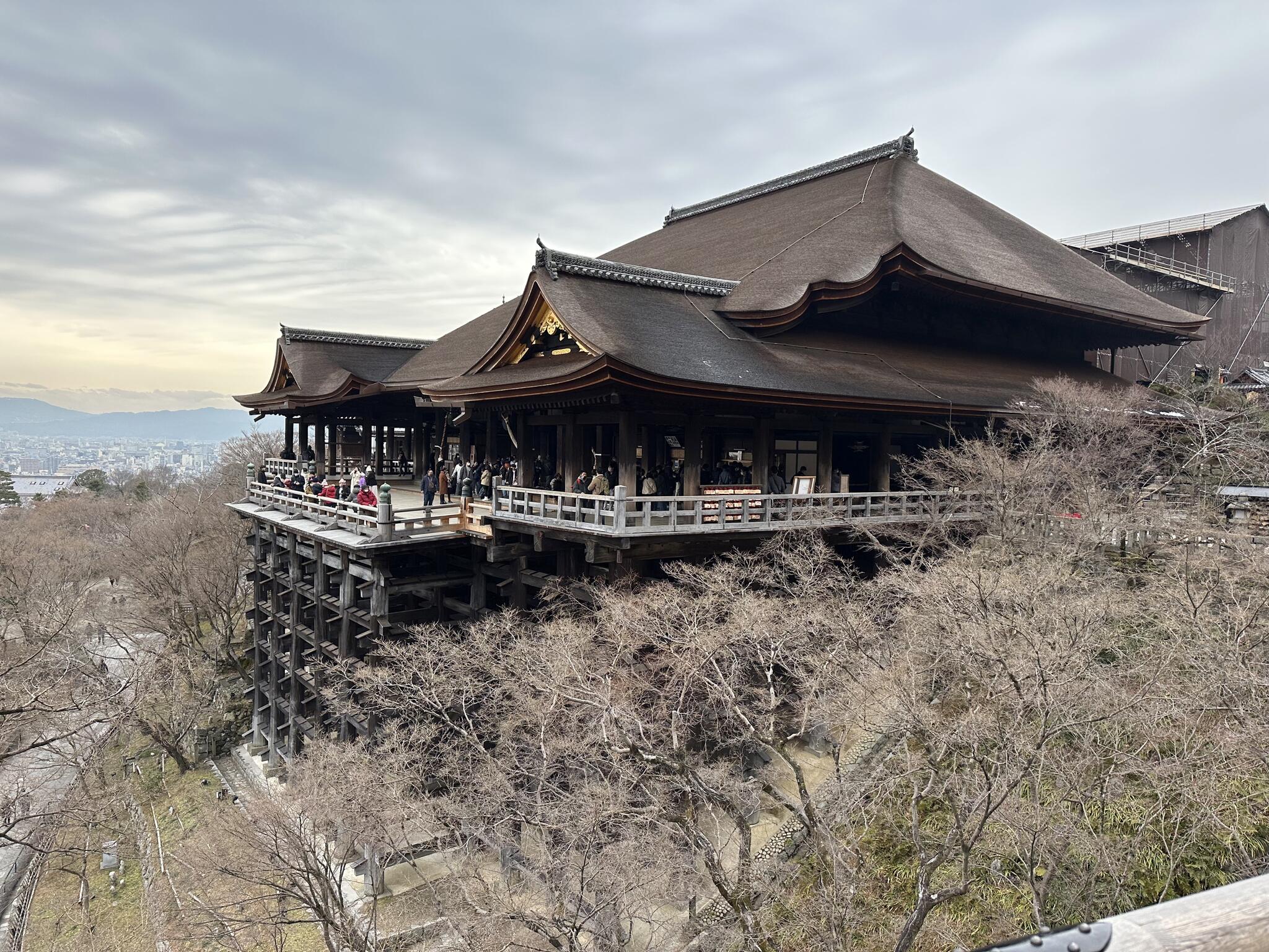 クチコミ : 清水寺成就院 - 京都市東山区清水１丁目/寺院 | Yahoo!マップ