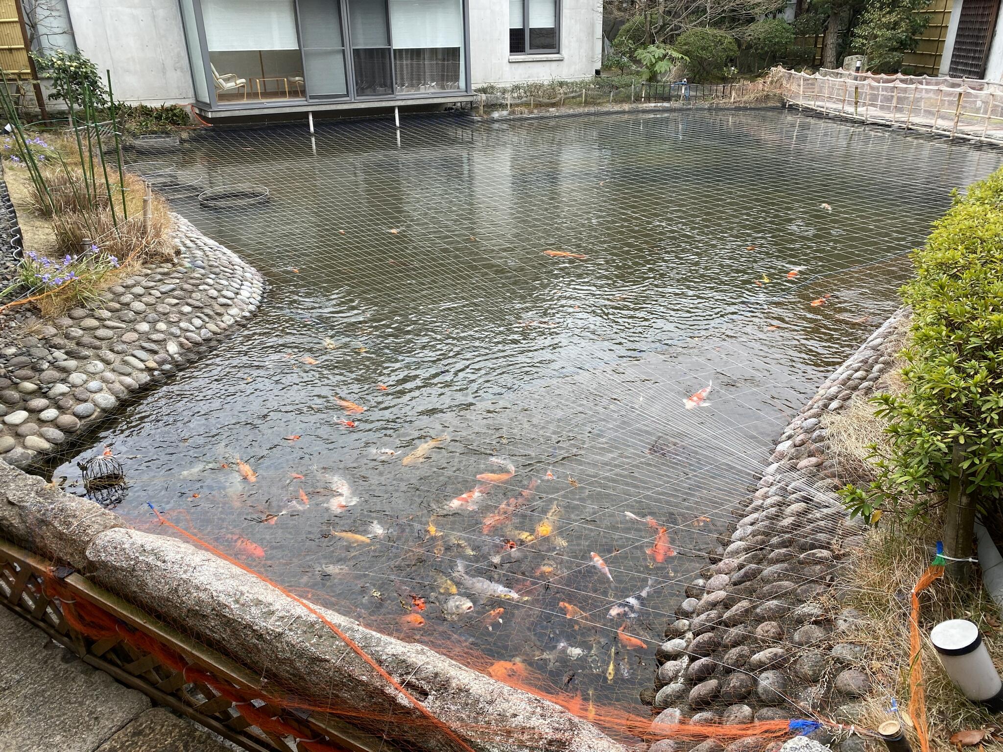 鳥取温泉観水庭こぜにやの代表写真8