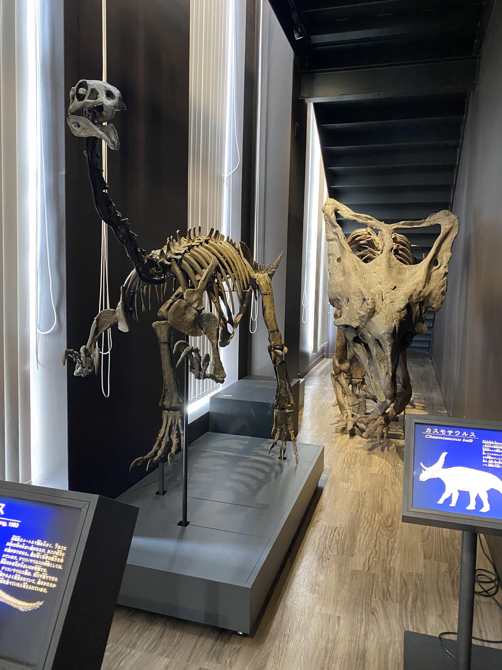 御船町恐竜博物館の代表写真1