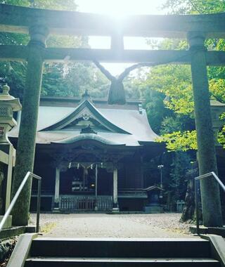 泉神社のクチコミ写真2