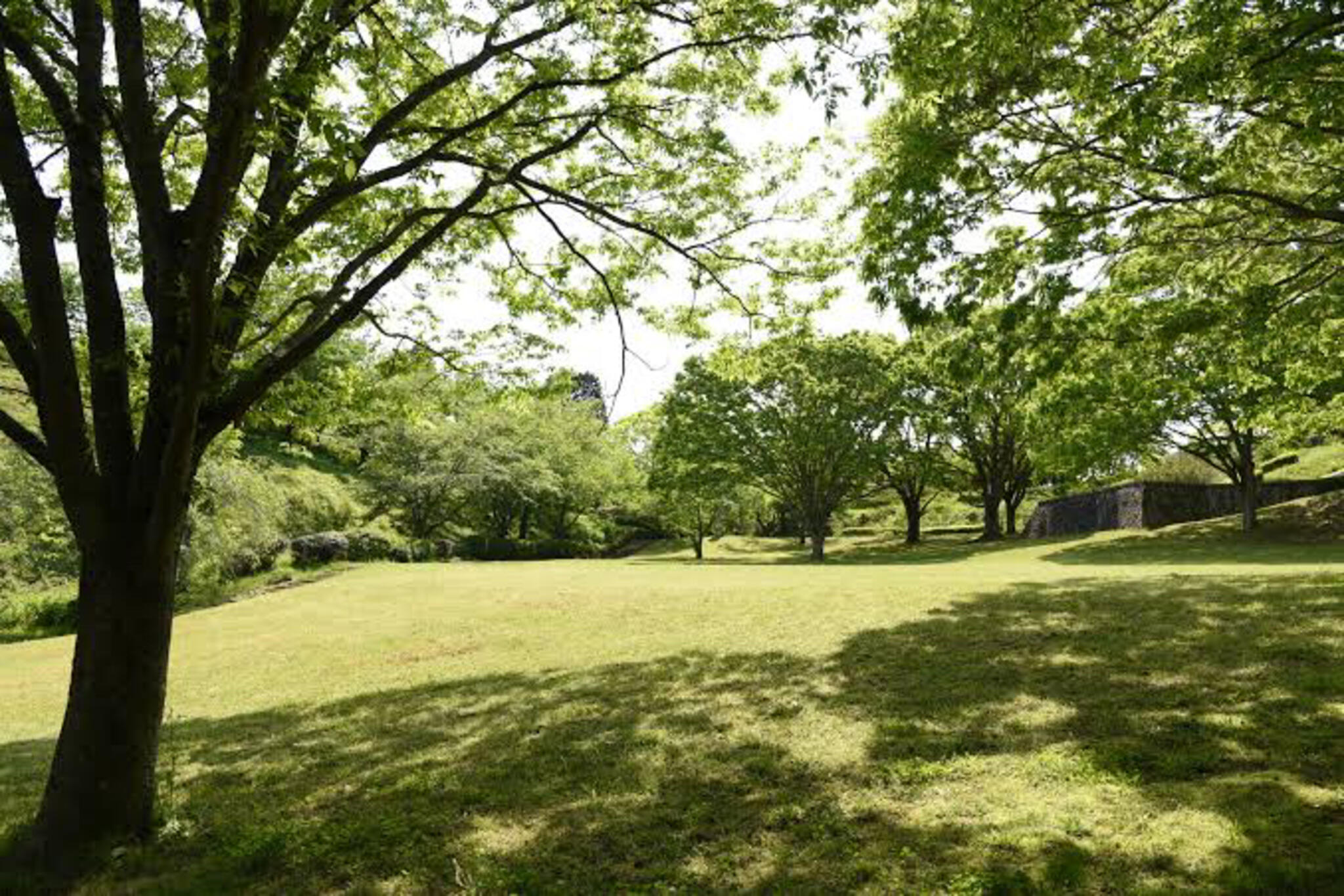 のとじま臨海公園の代表写真6