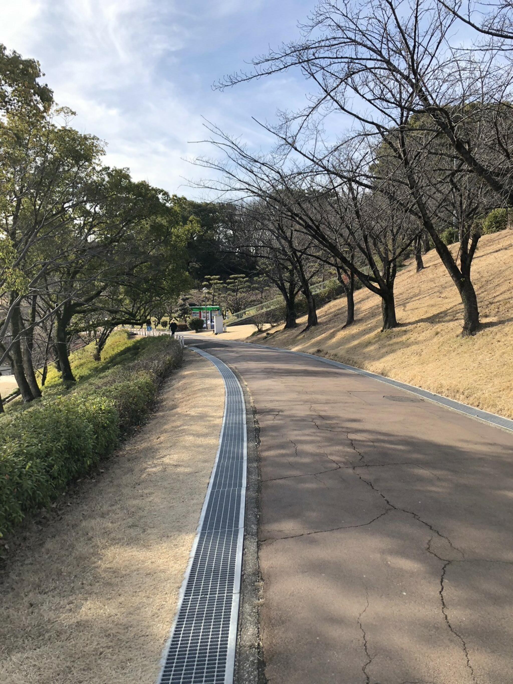 大池公園の代表写真9