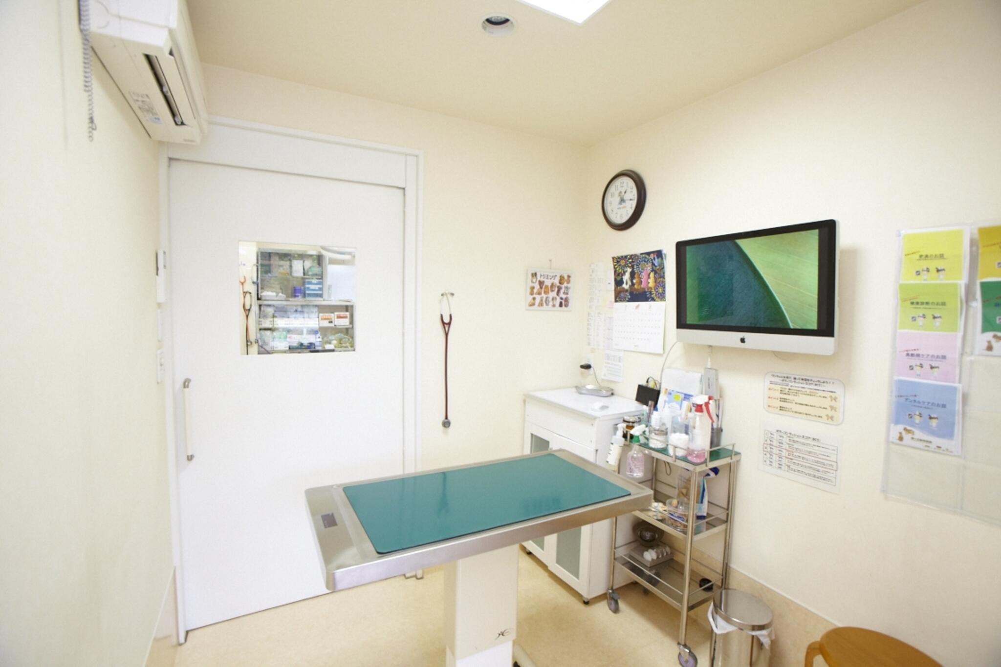 緑ヶ丘動物病院の代表写真4