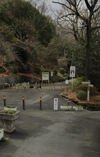 枚岡公園のクチコミ写真1