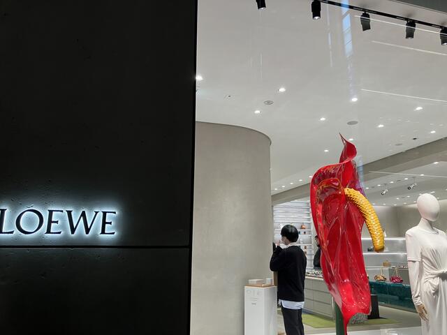 LOEWE CASA LOEWE Ginza Yahoo