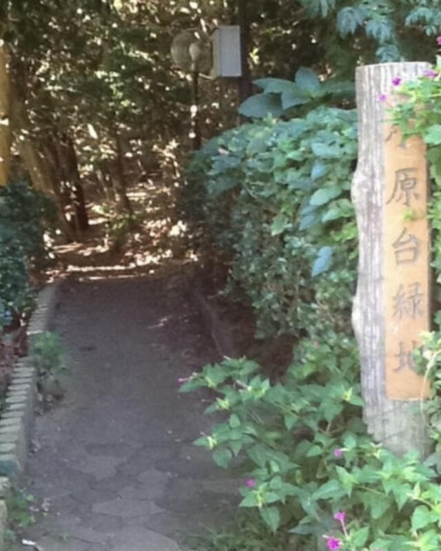 小原台緑地 横須賀市小原台/公園 Yahoo!マップ