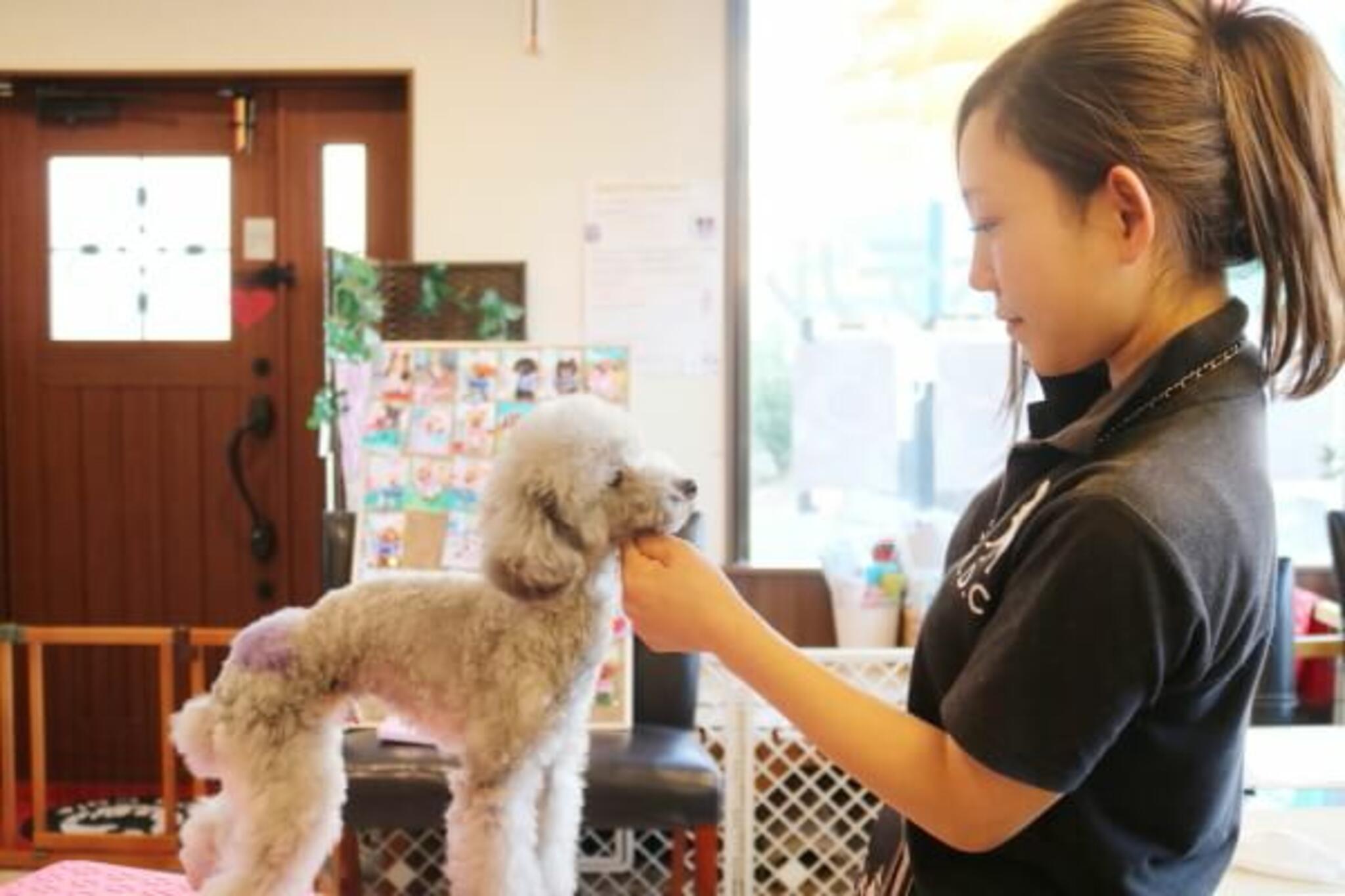 Marie's Dog Cafe(ホテル)の代表写真4