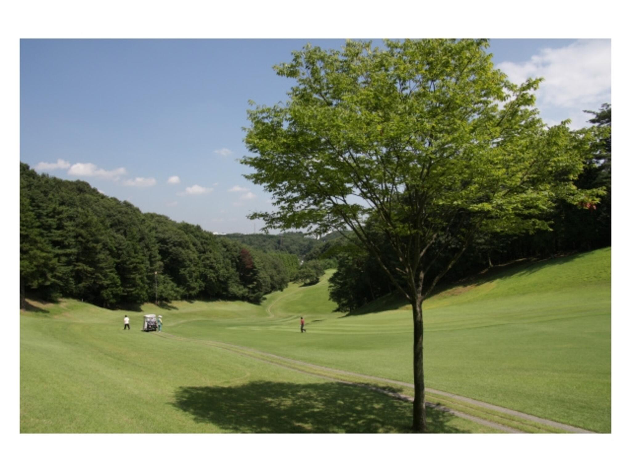 武蔵野ゴルフクラブの代表写真5