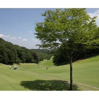 武蔵野ゴルフクラブの写真5