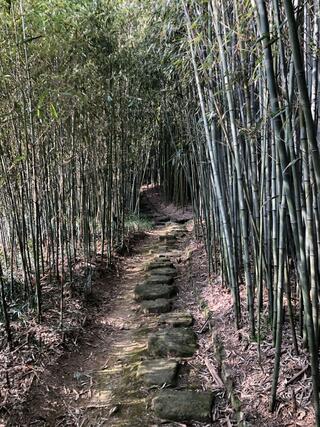 京都市洛西竹林公園のクチコミ写真3