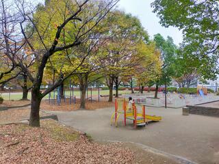 大谷田公園のクチコミ写真9