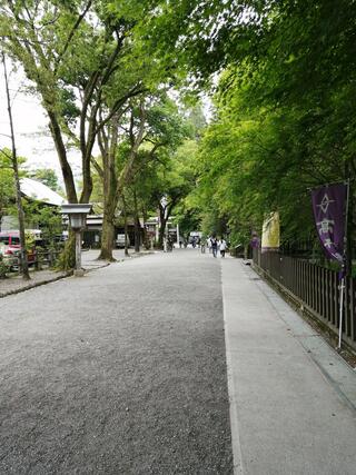 天岩戸神社のクチコミ写真2