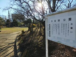 大谷田公園のクチコミ写真6