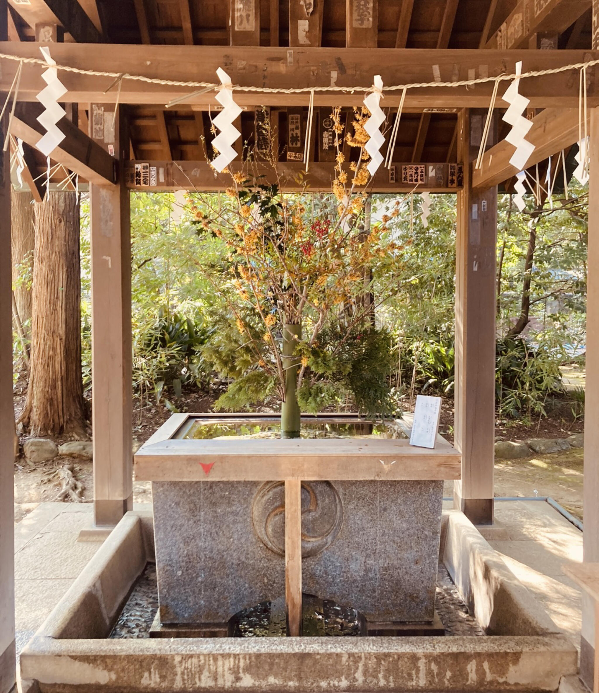 赤坂氷川神社の代表写真5