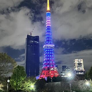 東京タワーの写真2