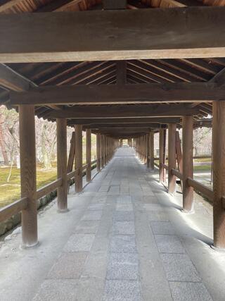 東福寺通天橋のクチコミ写真1