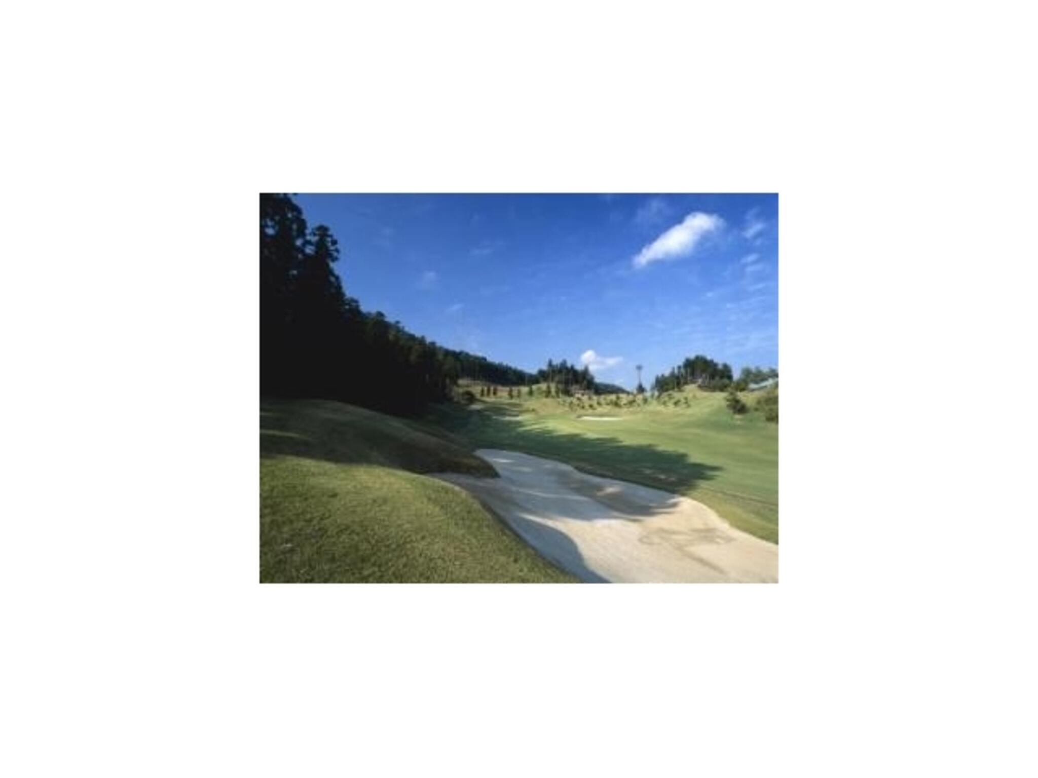 双鈴ゴルフクラブ関コースの代表写真4