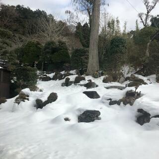 庭の見える喫茶店の写真10