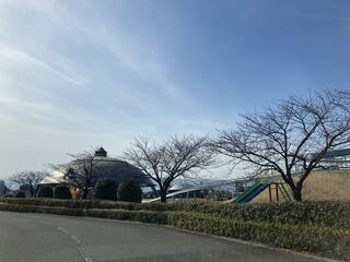平田公園と大榑川桜並木のクチコミ写真1
