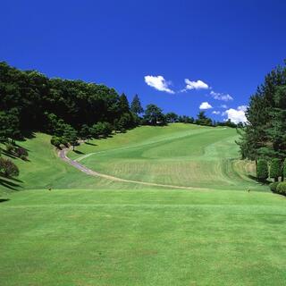 武蔵野ゴルフクラブの写真6