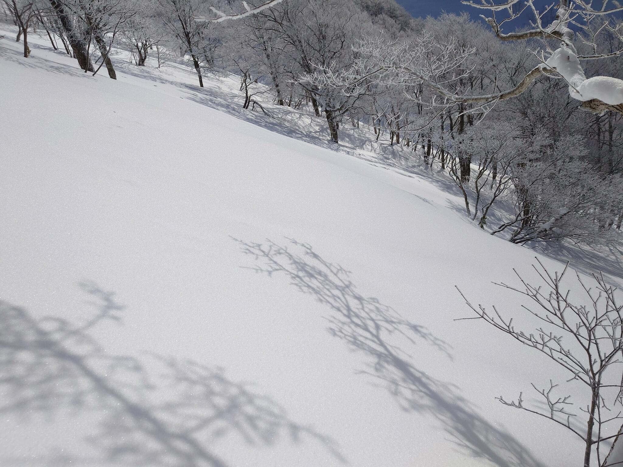 箕輪スキー場の代表写真10