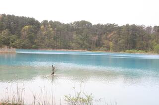 五色沼湖沼群のクチコミ写真6