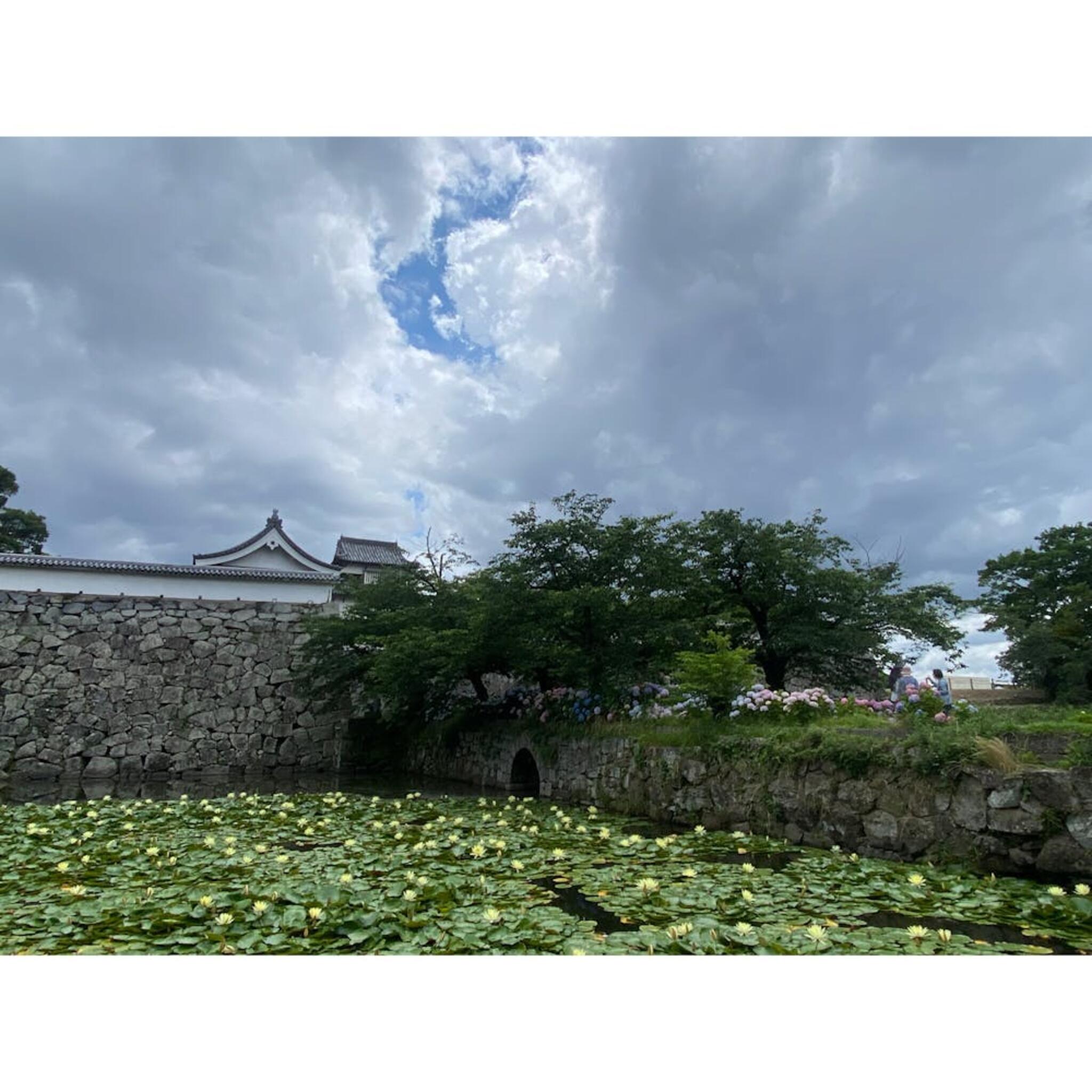 福岡城跡・舞鶴公園の代表写真10