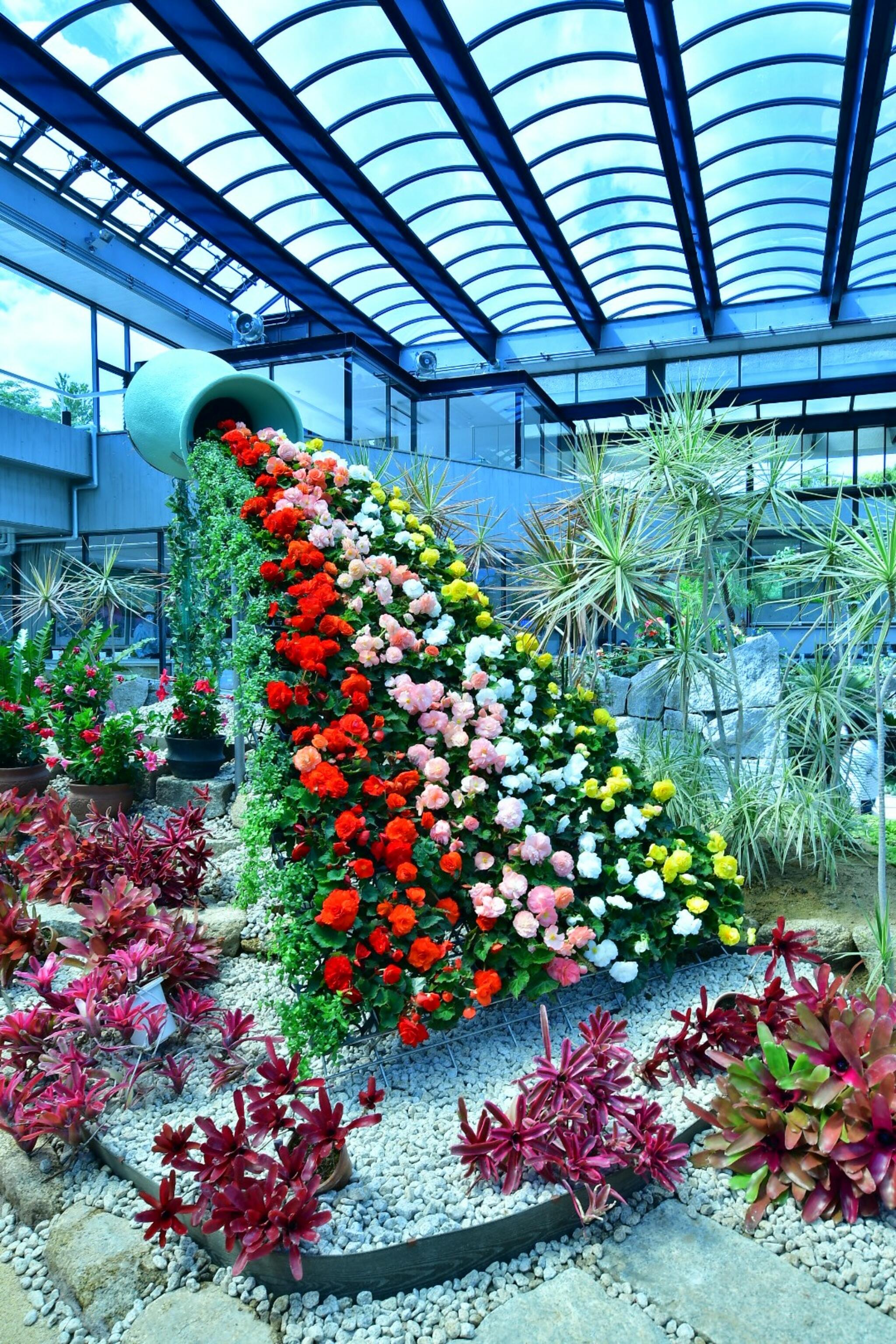 水戸市植物公園の代表写真8