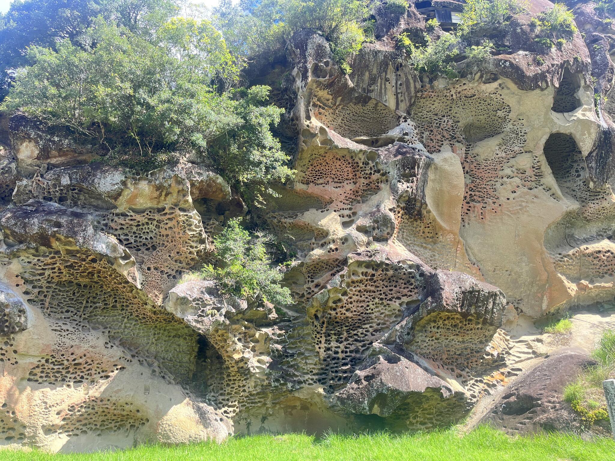 虫喰岩の代表写真5