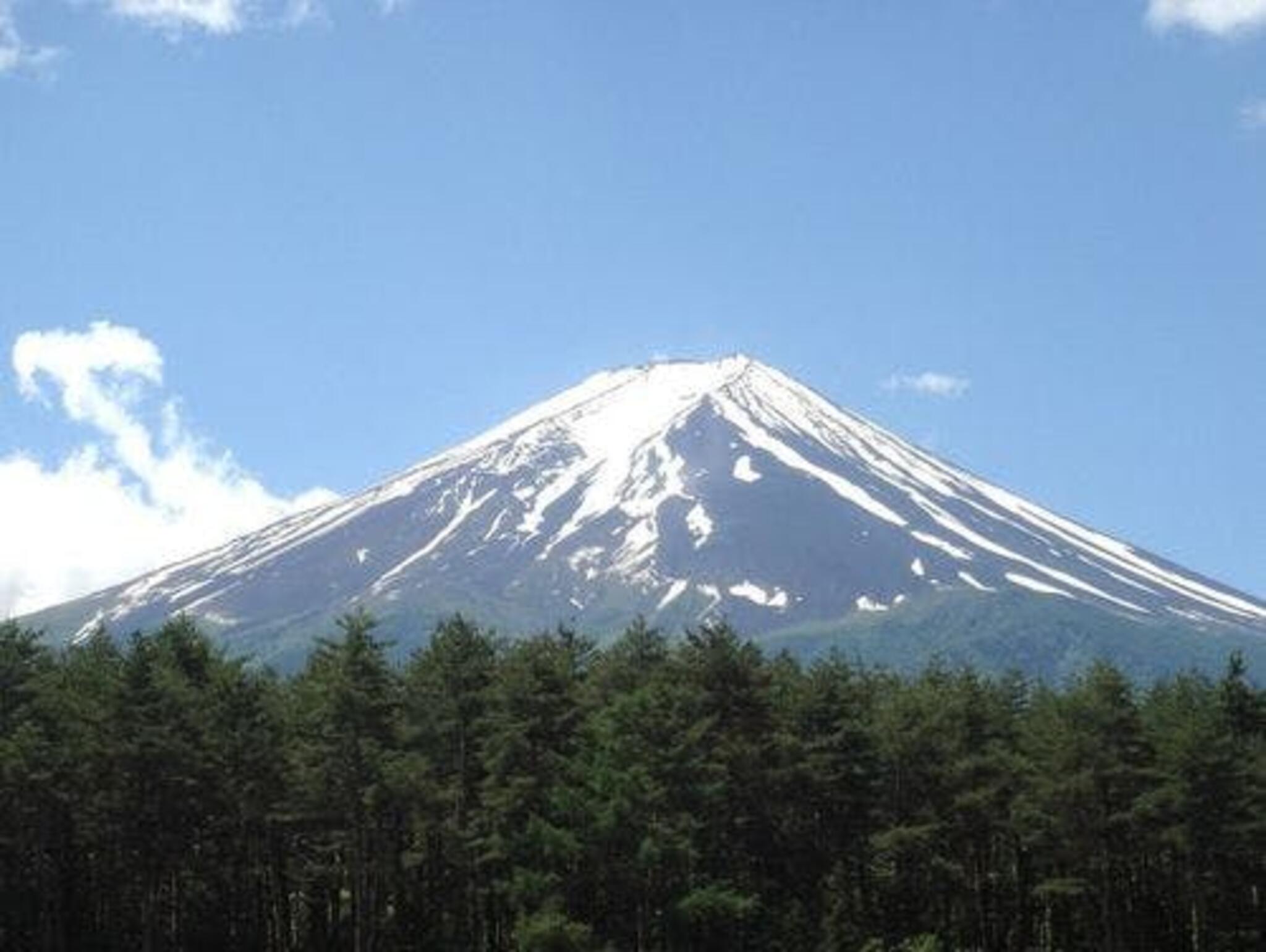 エバーグリーン富士の代表写真4