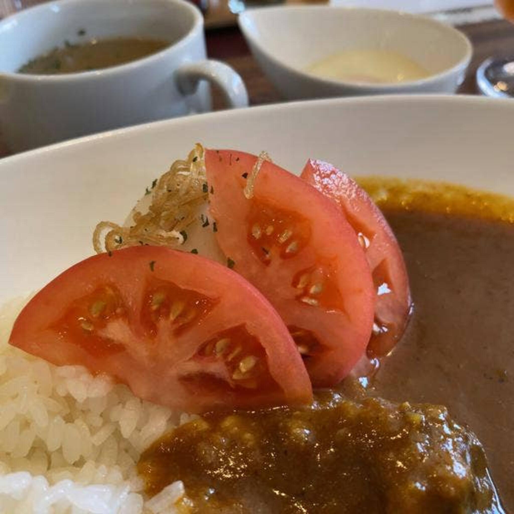 チャトニカレー店の代表写真1