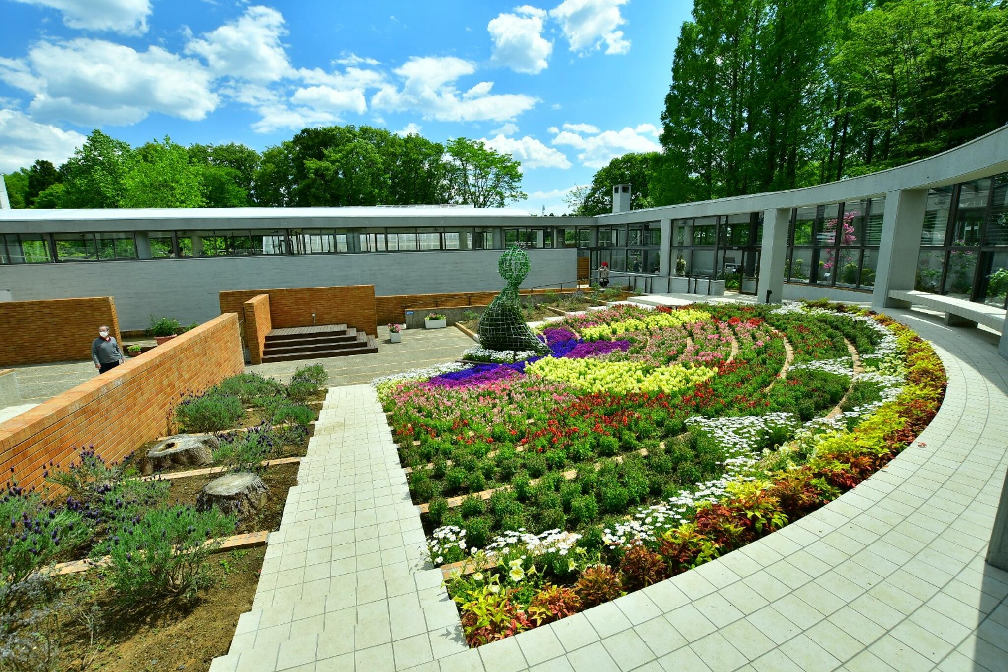 水戸市植物公園の代表写真9